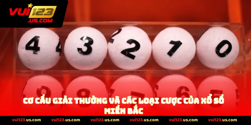 Cơ Cấu Giải Thưởng Và Các Loại Cược Của Xổ Số Miền Bắc