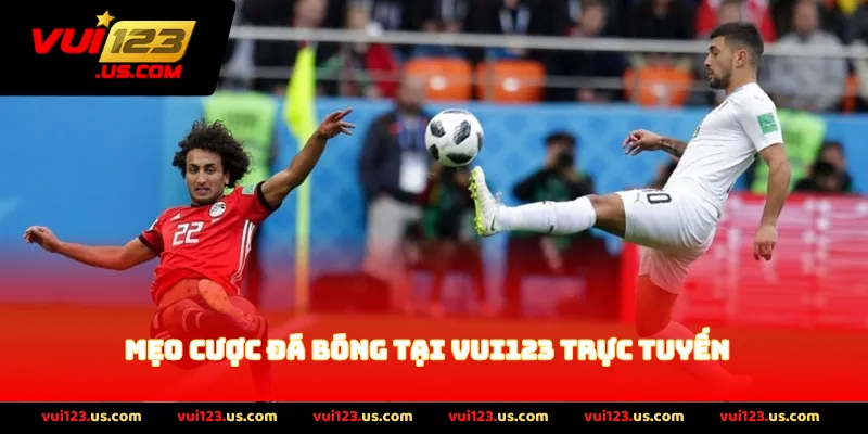 Mẹo Cược Đá Bóng Tại Vui123 Trực Tuyến