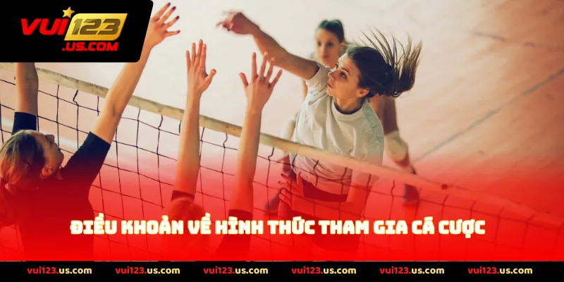 Điều khoản về hình thức tham gia cá cược