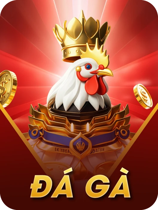 đá gà vui123 nhà cái đá gà thomo uy tín